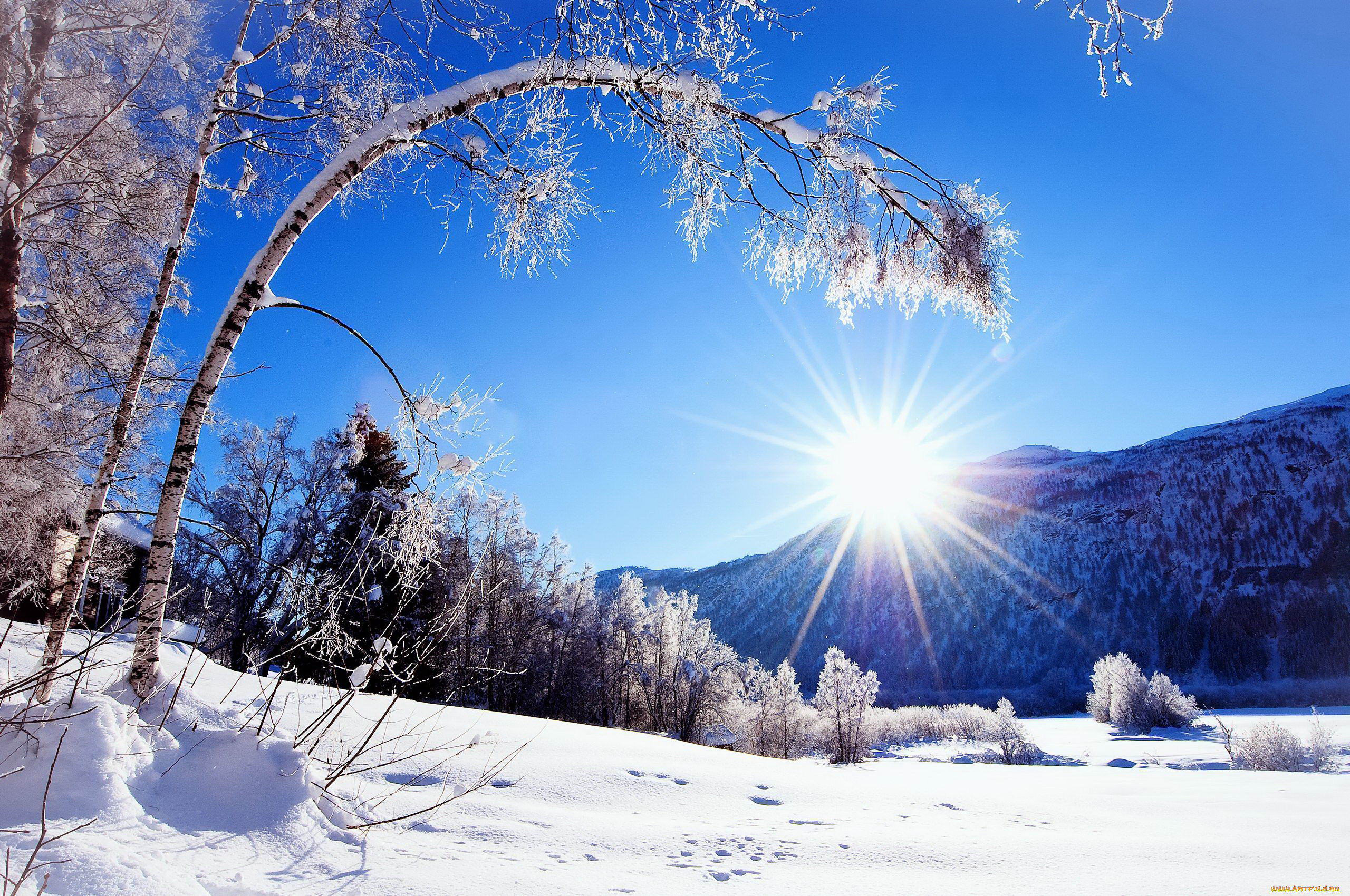Январский день. Зима солнце. Зимняя природа. Солнечный зимний день. Красивая зима.
