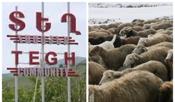 Ոչ տեսել են, ոչ լսել, չեն էլ եղել.ադրբեջանցիները փորձել են վերացնել հայ հովիվից գողացված ոչխարների հետքը